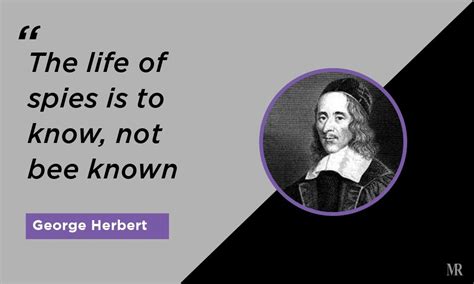 spfyx|SPFYX Quote .